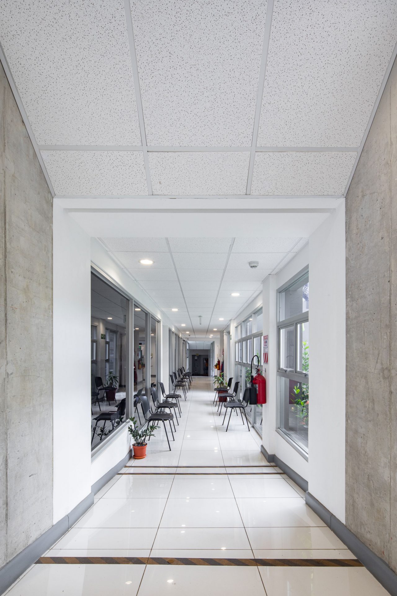 Municipalidad de Santa Ana con patios y jardines que conectan tres edificios históricos mediante diseño sostenible y accesible.