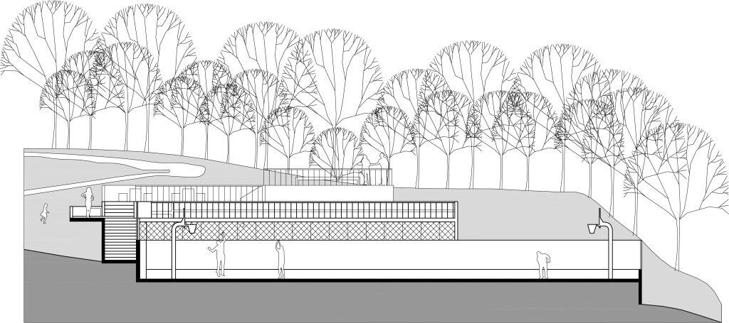 Parque La Ponderosa, section, terraces on the slope beneath the trees