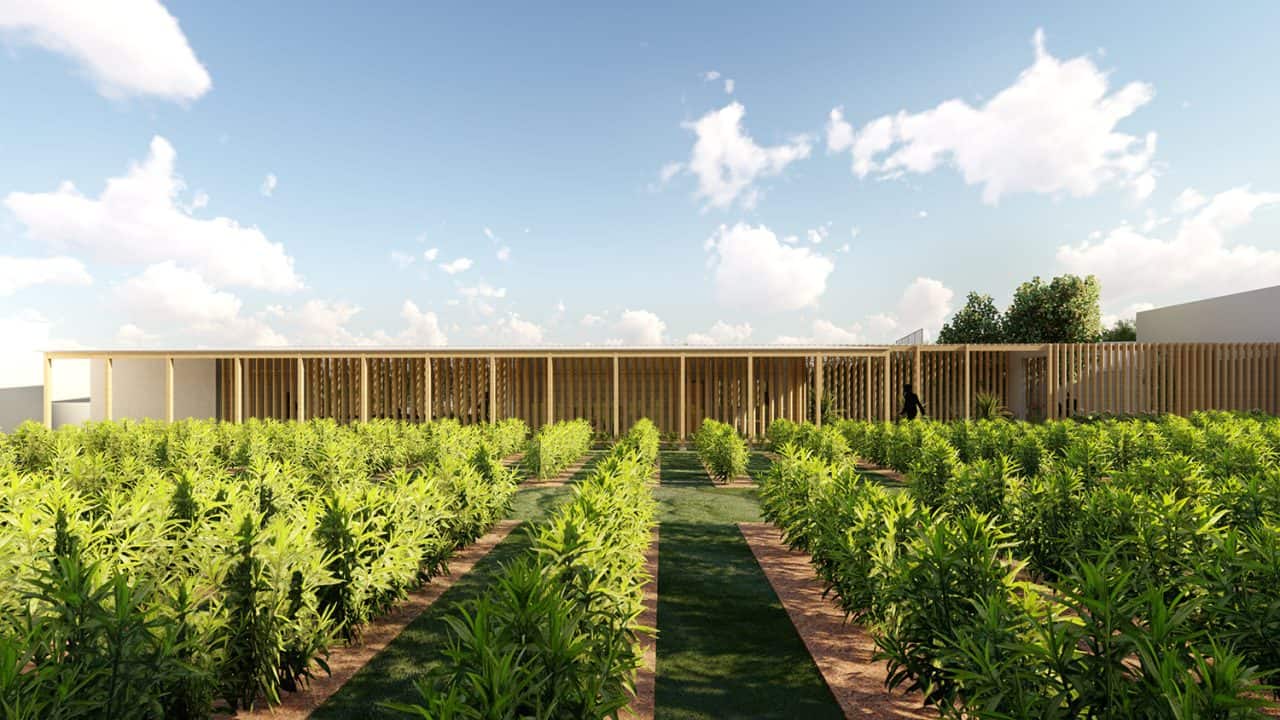 Vista aérea del Parque Pulmón Verde con senderos, jardines y estructuras sostenibles en una ladera boscosa.