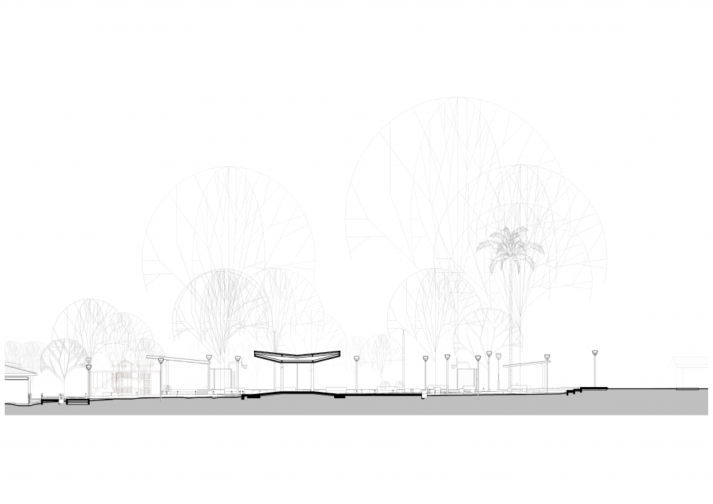 Parque de Campo 5, sección, relación del parque con la topografía y la arborización