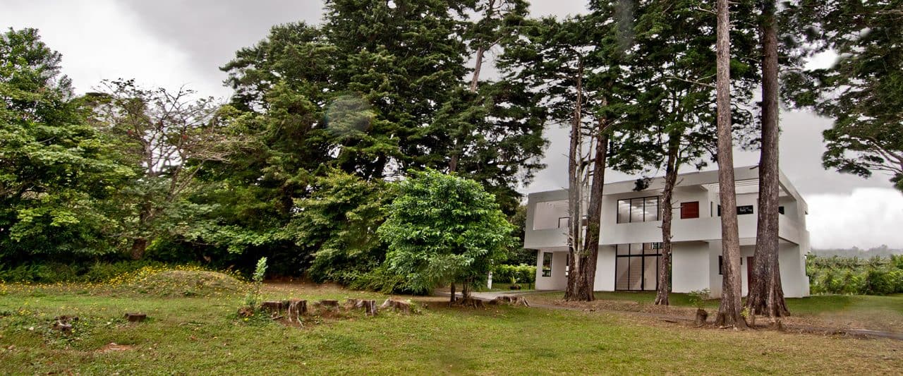 Casa de Montaña entre cipreses con diseño que integra luz natural, paisaje y calidez interior.