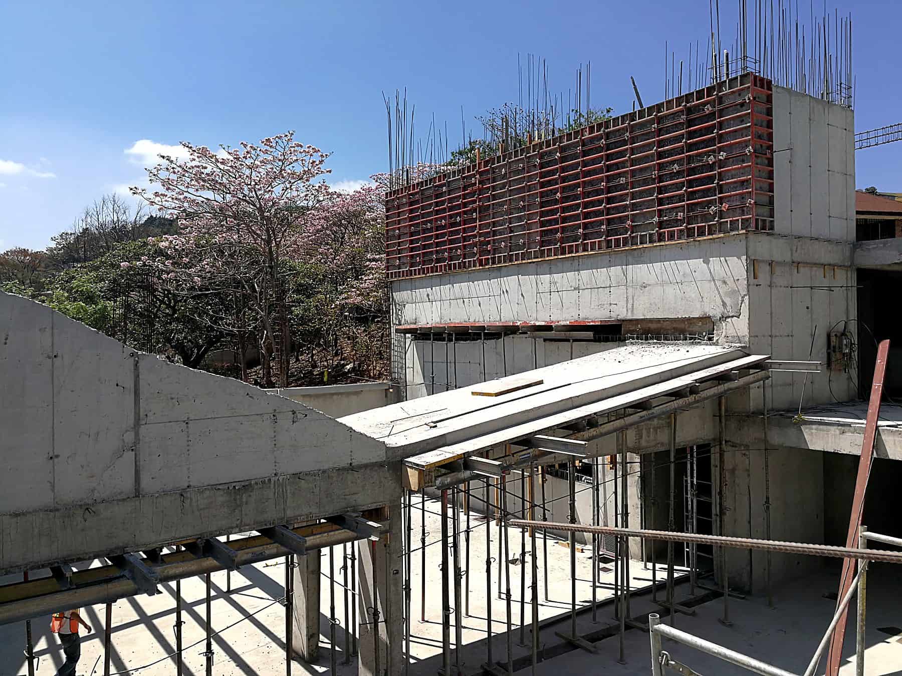 Centro de Desarrollo Humano de Tirrases en construcción, muros de concreto expuesto, formaleta roja y un roble sabana florecido al fondo