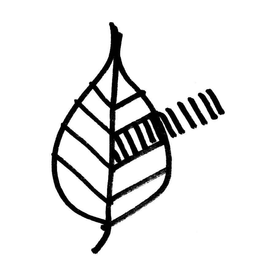 Croquis del concepto Salirse de la hoja