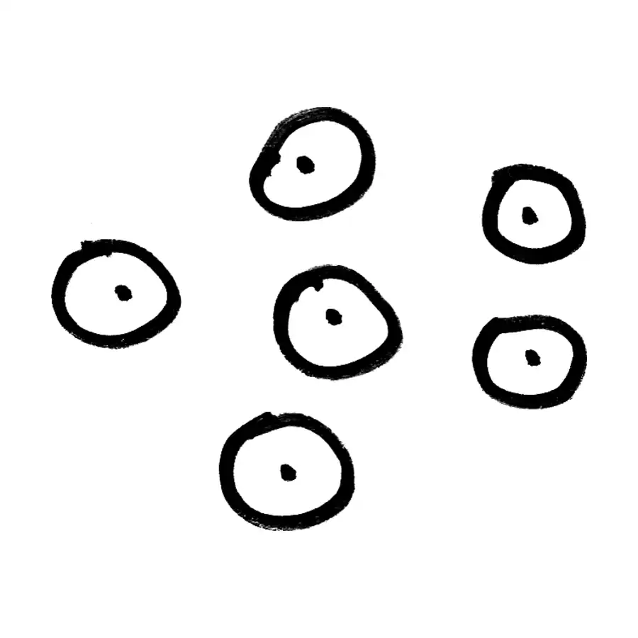 Croquis del concepto Zonas